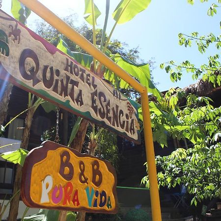 Quinta Esencia Bed and Breakfast Brasilito Buitenkant foto