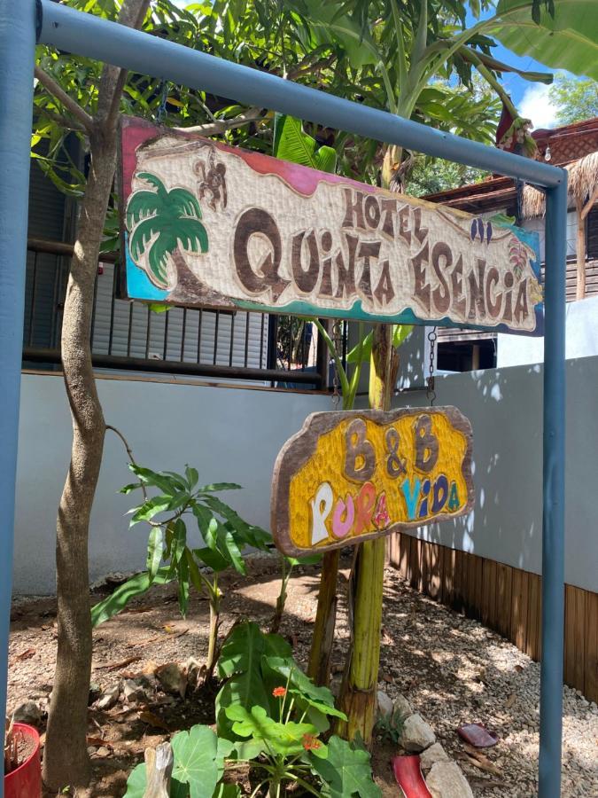 Quinta Esencia Bed and Breakfast Brasilito Buitenkant foto