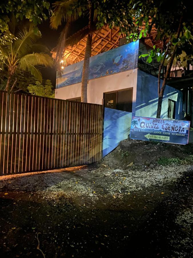 Quinta Esencia Bed and Breakfast Brasilito Buitenkant foto