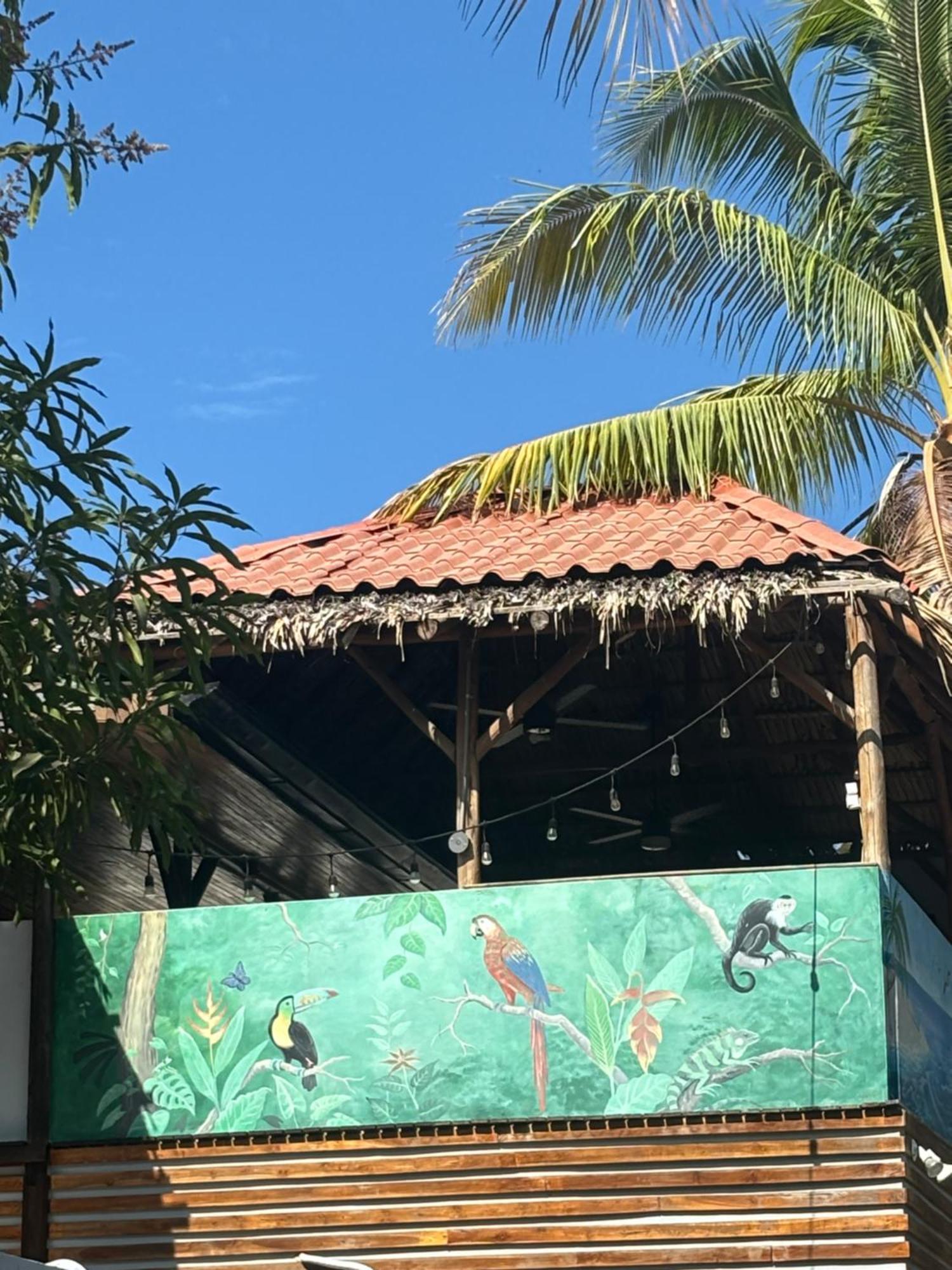 Quinta Esencia Bed and Breakfast Brasilito Buitenkant foto