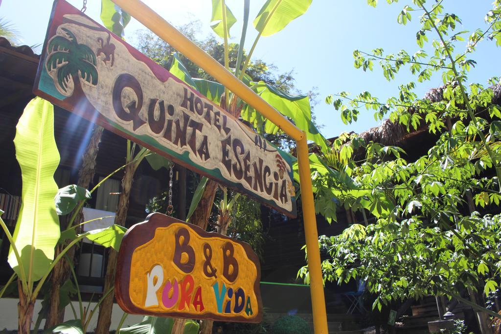 Quinta Esencia Bed and Breakfast Brasilito Buitenkant foto